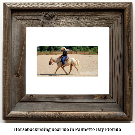 horseback riding near me in Palmetto Bay, Florida